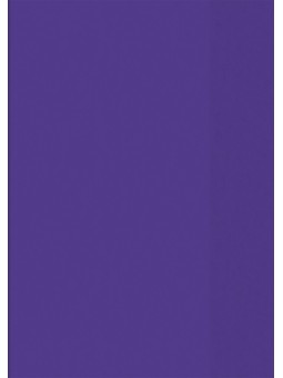 BRUNNEN Hefthülle · DIN A5 · transparent · violett