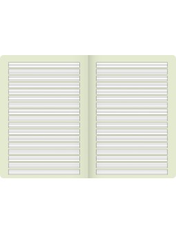 BRUNNEN Schulheft · DIN A4 · Vivendi · Lineatur 2   · 90 g/m² · 16 Blatt