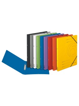 Herlitz Ringbuch / Ringhefter · colorspan · A4 · schmal · grau