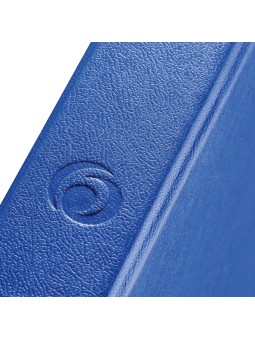 Herlitz Ringbuch · maX.file protect · A4 · blau