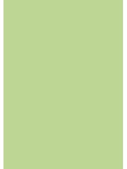 heyda Krepppapier · Bastelkrepp · 50 x 250 cm · maigrün · feuchtfärbend
