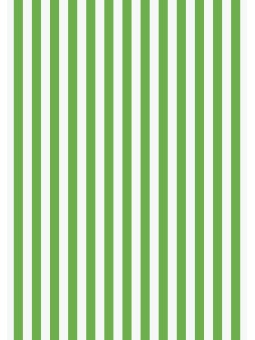 heyda Krepppapier · Bastelkrepp · 50 x 250cm · grün / weiß gestreift