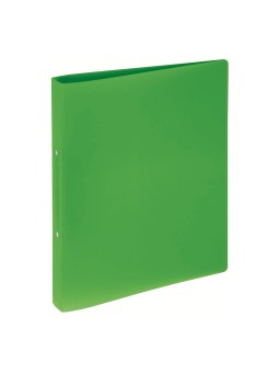 Pagna Ringbuch · DIN A4 · 25mm Ringdurchmesser · 2 Ringe · transparent · grün