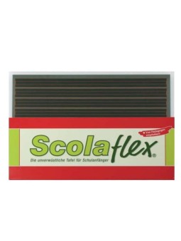 Staufen Scolaflex Tafel B1A ·  Vorderseite: Lineatur 1 · Rückseite blanko