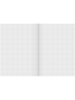 BRUNNEN Schulheft · DIN A4 · Lineatur 7 · Große Kästchen · 16 Blatt · Umweltpapier