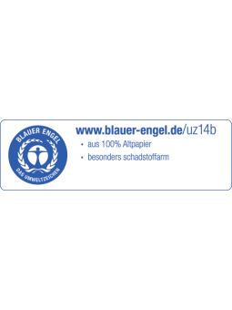 BRUNNEN Schulheft · DIN A4 · Lineatur 7 · Große Kästchen · 16 Blatt · Umweltpapier