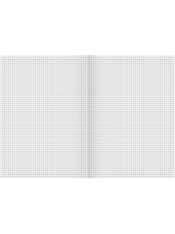 BRUNNEN Schulheft · DIN A4 · Lineatur 40 · kariert mit Rahmen · 16 Blatt · Umweltpapier