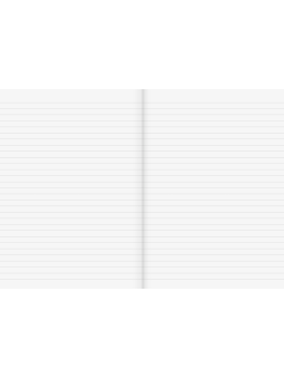 BRUNNEN Doppelheft · DIN A4 · Lineatur 21 · liniert ohne Rand · 32 Blatt · Umweltpapier