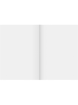 BRUNNEN Doppelheft · DIN A4 · Lineatur 22 · kariert ohne Rand · 32 Blatt · Umweltpapier