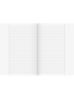 BRUNNEN Doppelheft · DIN A4 · Lineatur 25 · liniert mit Rand · 16 Blatt · Umweltpapier