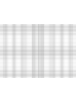 BRUNNEN Doppelheft · DIN A4 · Lineatur 28 · kariert mit Doppelrand · 32 Blatt · Umweltpapier