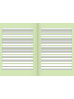 BRUNNEN Schulheft · DIN A5 · Lineatur 2 · liniert - 2. Schuljahr · Kontrastlineatur · 16 Blatt · Umweltpapier