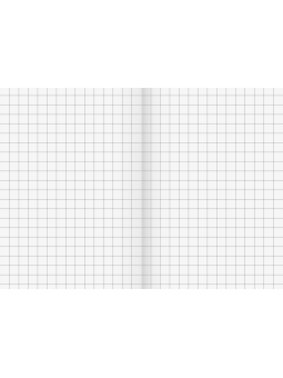 BRUNNEN Schulheft · DIN A5 · Lineatur 7  · Große Kästchen · 16 Blatt · Umweltpapier
