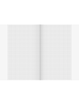 BRUNNEN Schulheft · DIN A5 · Lineatur 10 · kariert mit Rand · 16 Blatt · Umweltpapier