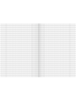 BRUNNEN Schulheft · DIN A5 · Lineatur 28 · kariert mit Doppelrand · 16 Blatt · Umweltpapier