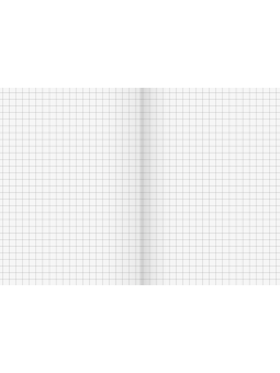 Oktavheft · DIN A6 · kariert · Lineatur 52 · 32 Blatt · Umweltpapier