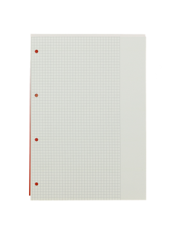 LANDRÉ Schulblock · A4 · 50 Blatt · Lineatur 26 · kariert · mit Rand