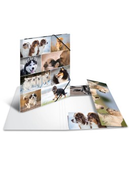 HERMA Sammelmappe · A3 · Karton · Hunde