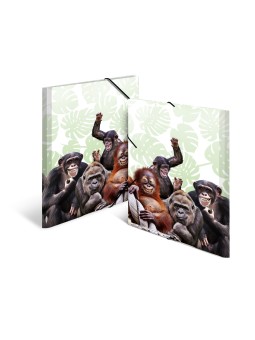 HERMA Sammelmappe · A3 · PP · Tiere · Affenbande