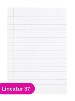 Landré Schulheft A4 · Lineatur 37 · 80 g/m² · 16 Blatt
