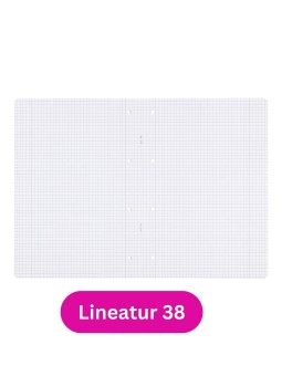 Landré Schulheft A4 · Lineatur 38 · 80 g/m² · 16 Blatt