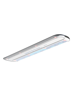 Pelikan Lineal combino · kurz · 15 cm · Links-/Rechtshänder